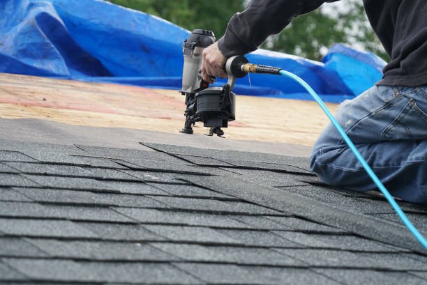 Roof Maintenance in San Lorenzo, CA